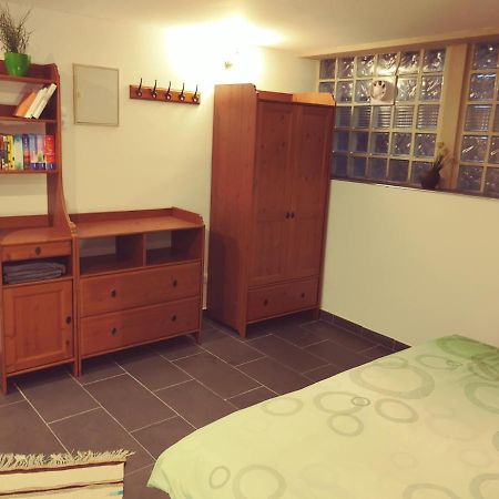 Appartment De Luxe Mit Sauna Braunschweig Eksteriør billede