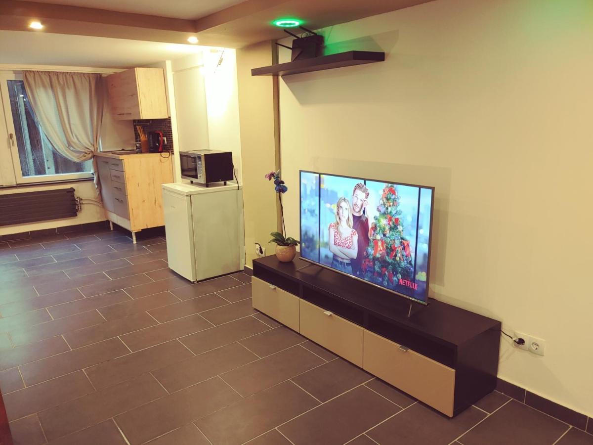 Appartment De Luxe Mit Sauna Braunschweig Eksteriør billede